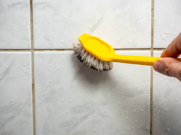 Best Affordable Mold Removal  in Nashua, IA
