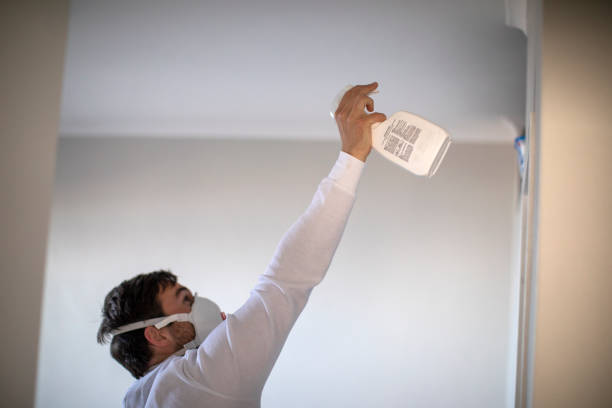 Best Mold Removal Company Near Me  in Nashua, IA