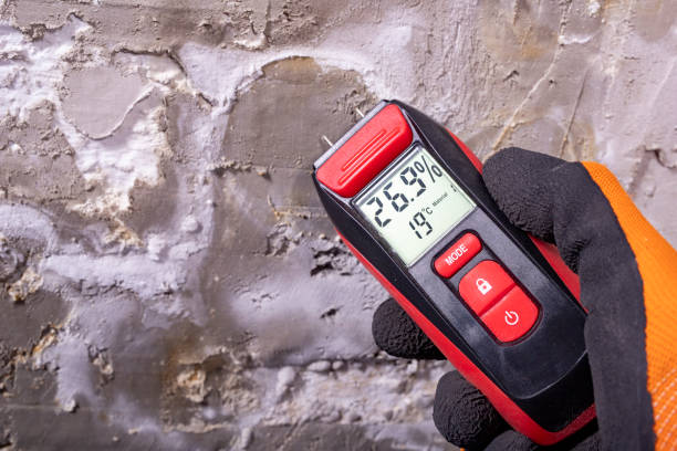 Best Water Damage Restoration  in Nashua, IA