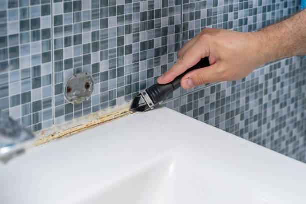 Best Fast Mold Removal  in Nashua, IA