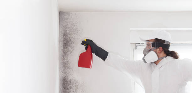 Best Crawl Space Mold Removal  in Nashua, IA